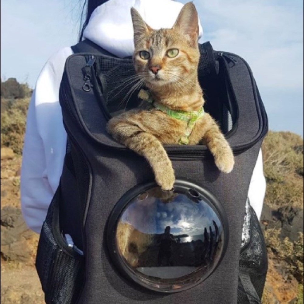 Cat Backpack Carrier from YourCatBackpack.com